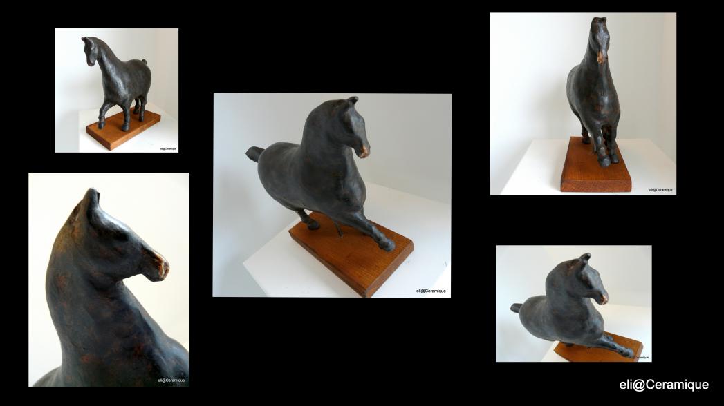 little white nose - Elia Debosschere - Click to enlarge