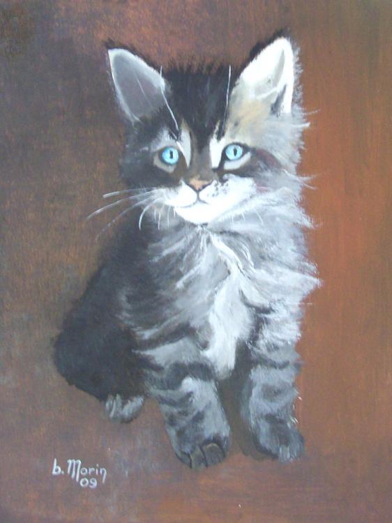 Chaton - Bernard Morin