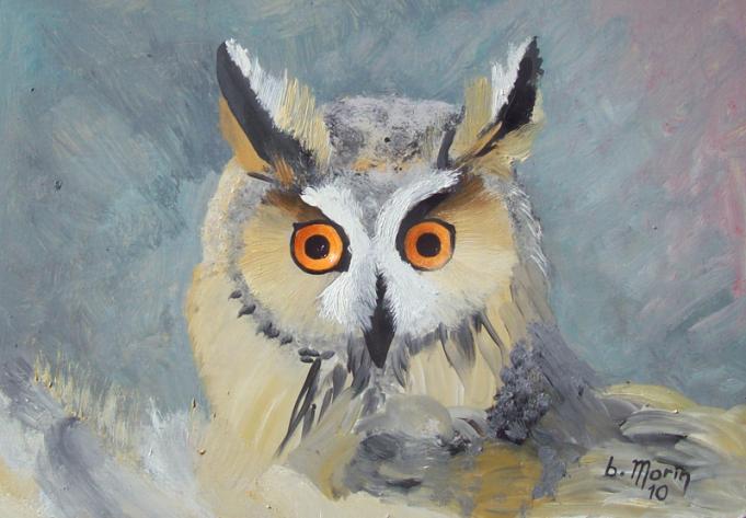Hibou qu'est chouette - Bernard Morin - Click to enlarge