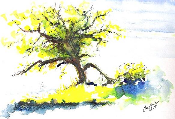 Same Tree - Elena Lasovskaya - Cliquer pour afficher en grand