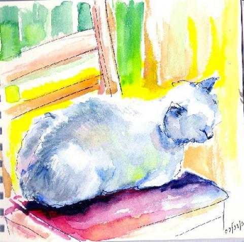Sunshine and Cat - Elena Lasovskaya