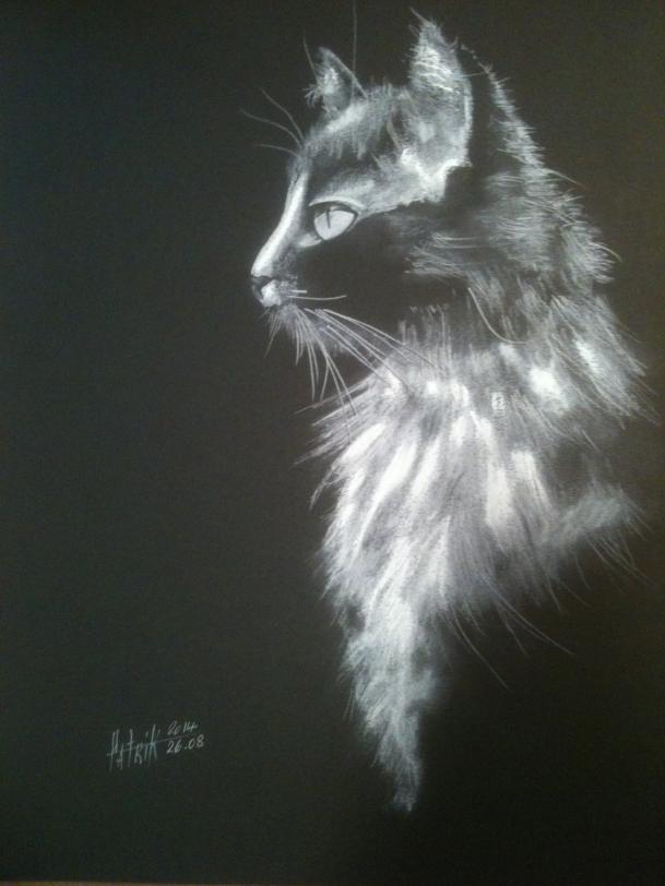 26AOUT2014 - Patrik Raynal - Cliquer pour afficher en grand