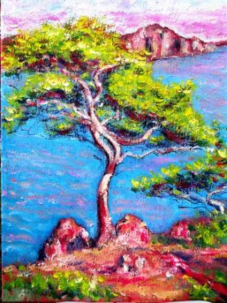 pin plage  michel - Raymond Bourmault