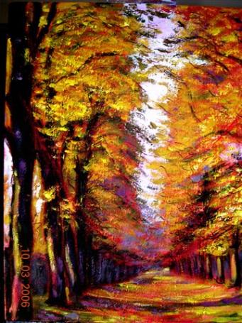 stcloud - Raymond Bourmault