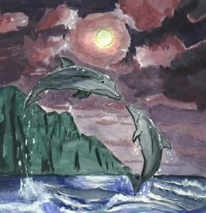 Dolphins - Jennifer O'Reilly