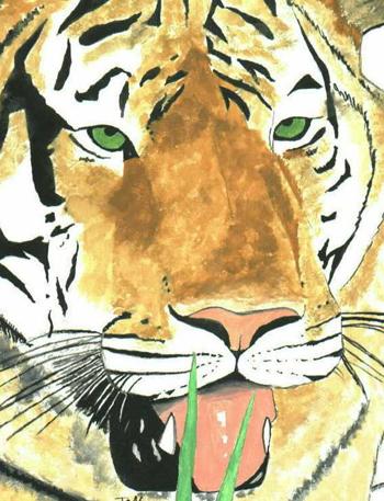 Tiger closeup #1 - Jennifer O'Reilly
