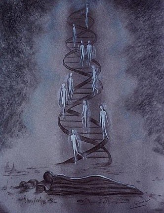 Jacobs ladder - Cati Simon
