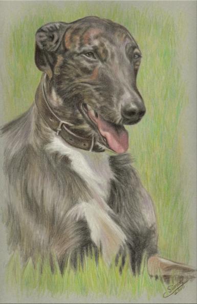 Fergal - Cati Simon