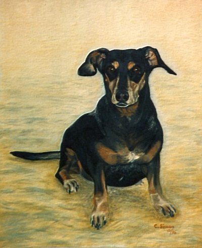Little dog - Cati Simon