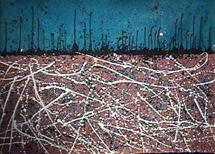 Vie Nocturne - Doris Bordage