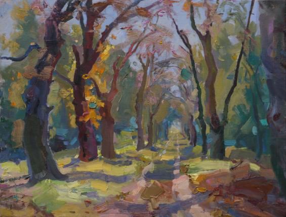 Alley in Kachanivka - Victor Onyshchenko
