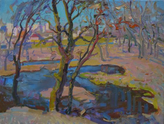 Flood on Strizhen River - Victor Onyshchenko