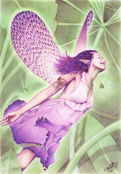 Iris fairie des bois - Allan Barbeau