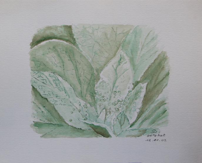 2002 Ostabat, plante bourrue - Jean-Pierre Milesi - Click to enlarge