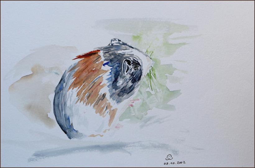 2002 Cobaye. Guinea pig. 1 - Jean-Pierre Milesi - Click to enlarge