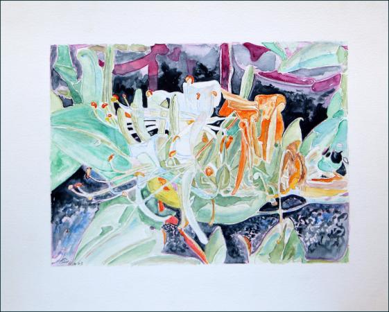 2003 Chèvrefeuille Honeysuckle - Jean-Pierre Milesi