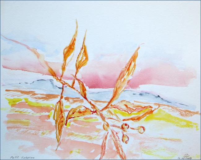 2003 Petit Luberon - Jean-Pierre Milesi - Cliquer pour afficher en grand