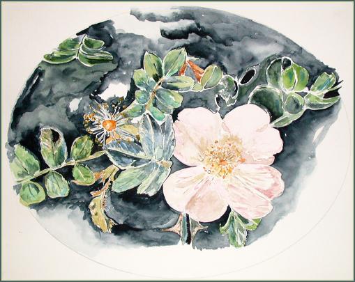 2003 Rosa canina - Jean-Pierre Milesi