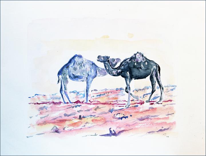 2004 Chameaux, Arabie - Jean-Pierre Milesi - Click to enlarge
