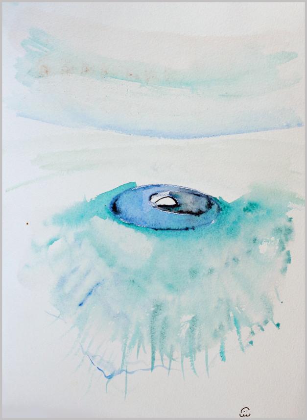 2008 Volcan vide. Empty volcano. - Jean-Pierre Milesi - Click to enlarge