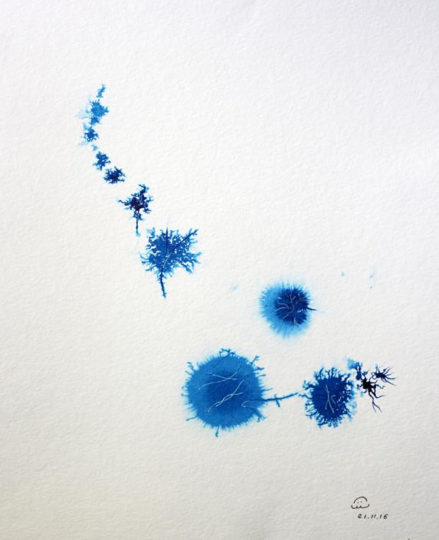 2016 Planètes bleues, Blue planets - Jean-Pierre Milesi - Cliquer pour afficher en grand