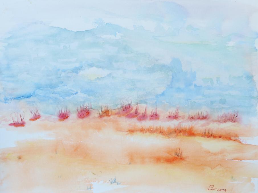 2017 Dune herbacée. Herbaceous dune - Jean-Pierre Milesi - Click to enlarge