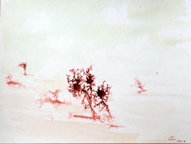 2017 Fleurs sang marcheuses, Bloody walking flower - Jean-Pierre Milesi - Click to enlarge