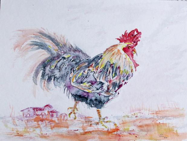 2020 Coq en colère, Angry cock - Jean-Pierre Milesi - Cliquer pour afficher en grand