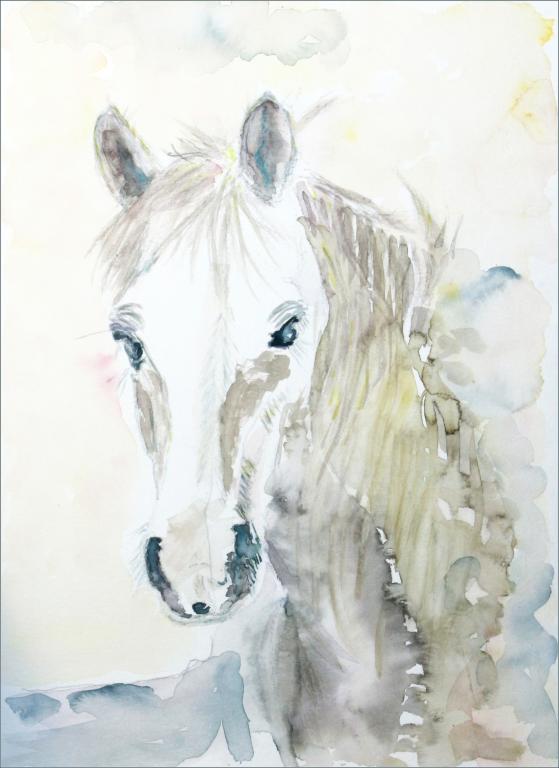 2021 Cheval gris. Gray horse. - Jean-Pierre Milesi