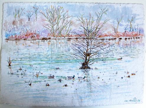 2021 Aisses, La Ferté-Saint-Aubin: Etang, Pond - Jean-Pierre Milesi
