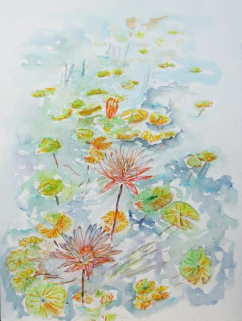 2021 Nénuphars Waterlily 368 - Jean-Pierre Milesi