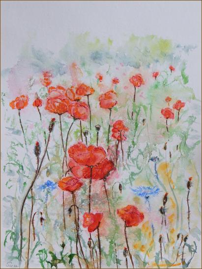 2022 Coquelicots Poppies 912 - Jean-Pierre Milesi