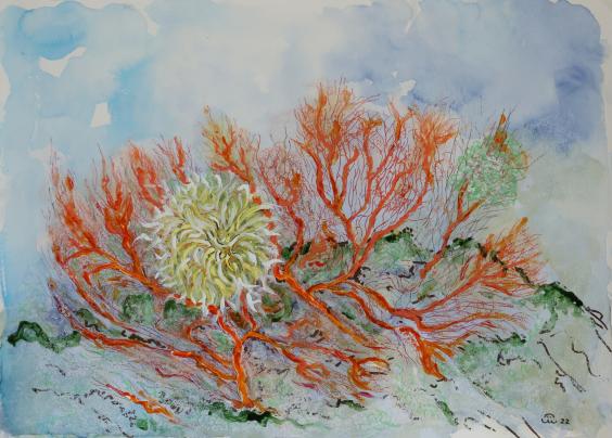 2023 Coraux Corals 3 - Jean-Pierre Milesi