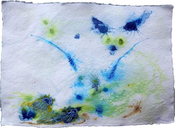 2023 Fennec & friends - Jean-Pierre Milesi - Click to enlarge