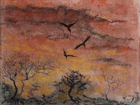 2024 Kruger Park - Jean-Pierre Milesi