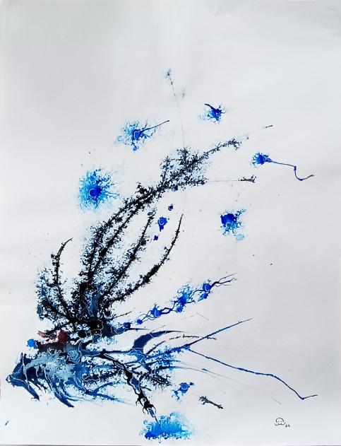 2025 Coindi - Jean-Pierre Milesi