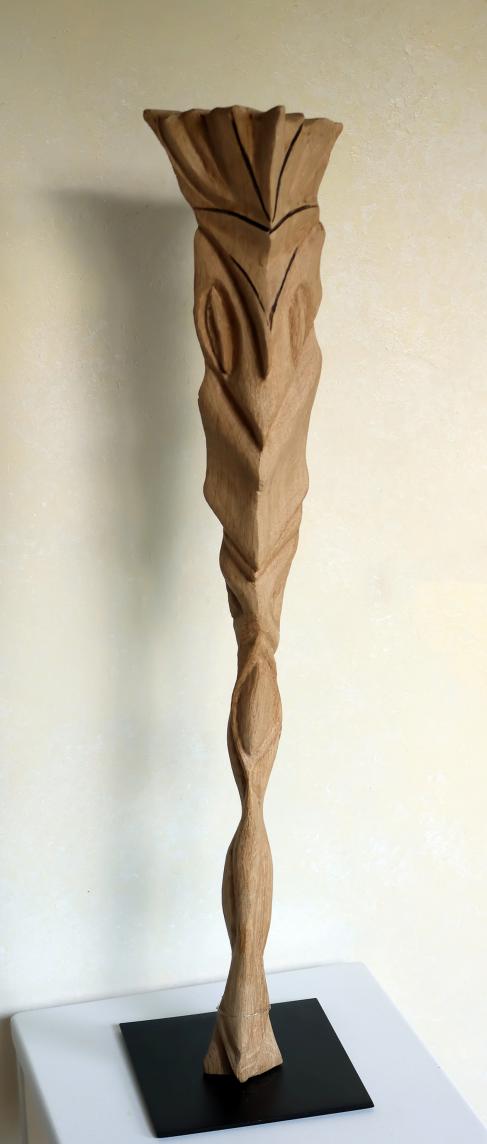 APSÛ - Jean-Pierre Milesi