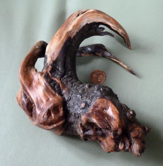 Cabrette, Young goat - Jean-Pierre Milesi