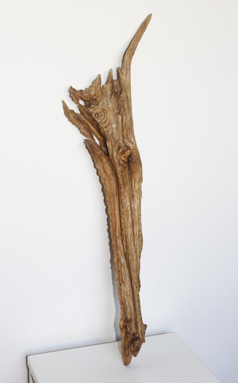 Hachette dentelée, Indented hatchet - Jean-Pierre Milesi - Click to enlarge