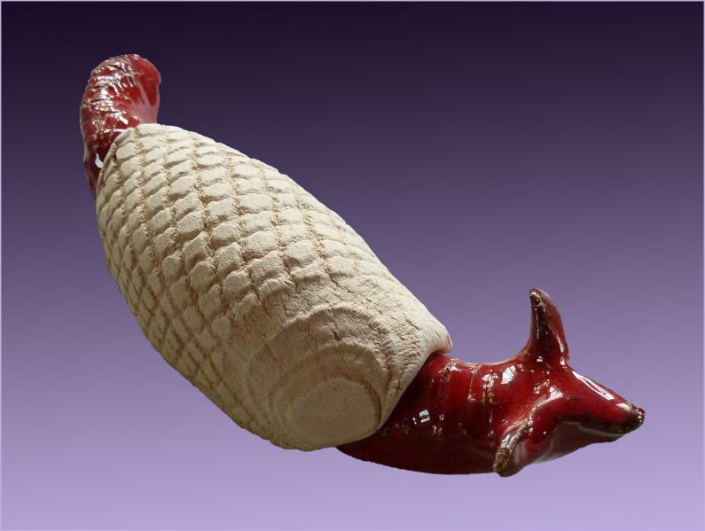 Limace à carapace blanche. Slug with white shell - Jean-Pierre Milesi - Click to enlarge