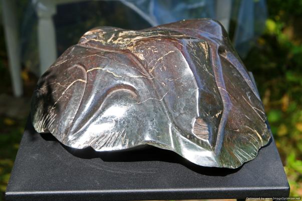 Masques sur carapace, Masks on shell - Jean-Pierre Milesi - Cliquer pour afficher en grand