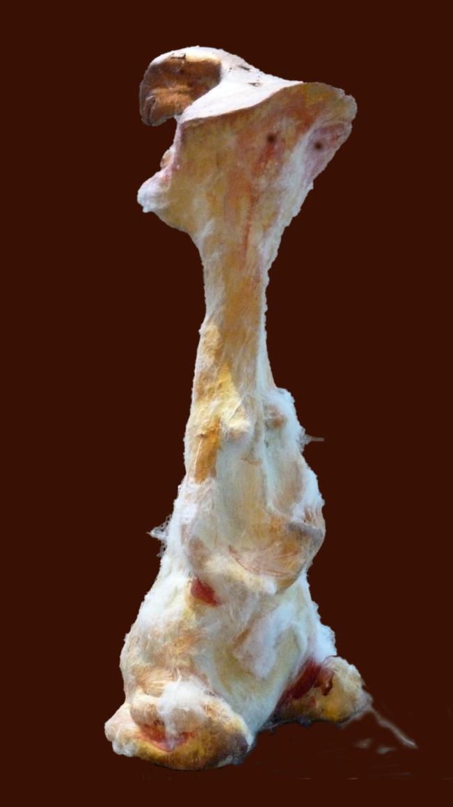 Suricate de Sologne; Suricate of Sologne - Jean-Pierre Milesi - Click to enlarge