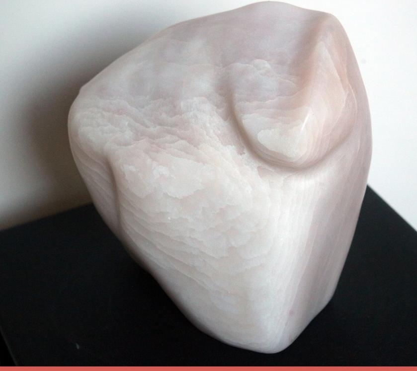 Timide rose, Shy pink - Jean-Pierre Milesi - Cliquer pour afficher en grand