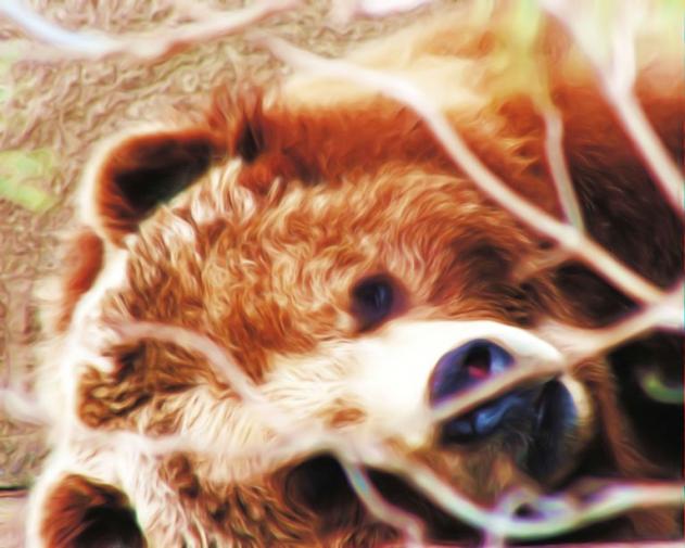 Resting Bear - Lynn A. Marie - Click to enlarge