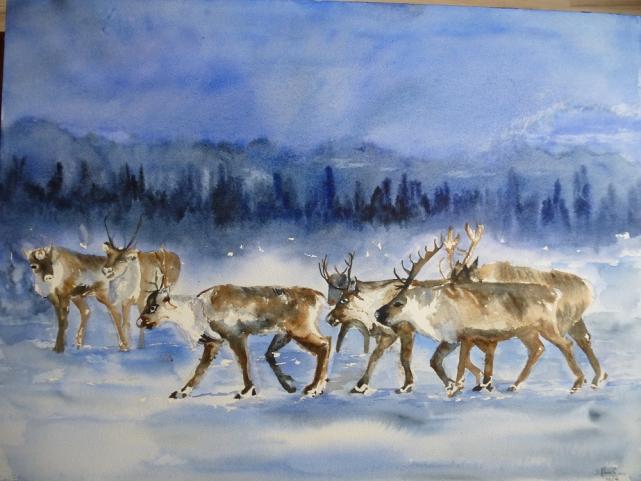 caribous - Jean-Luc Marcelli - Click to enlarge