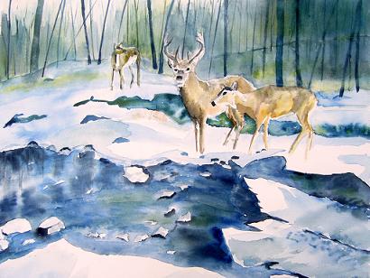 harde dans la neige - Jean-Luc Marcelli