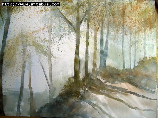sous-bois - Jean-Luc Marcelli
