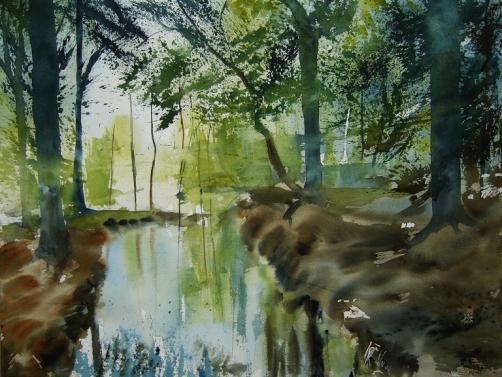 sous-bois - Jean-Luc Marcelli