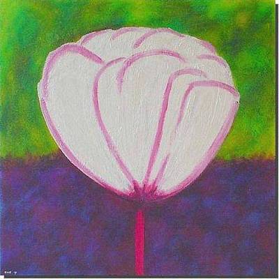 white flower2 - Dalia Rubin