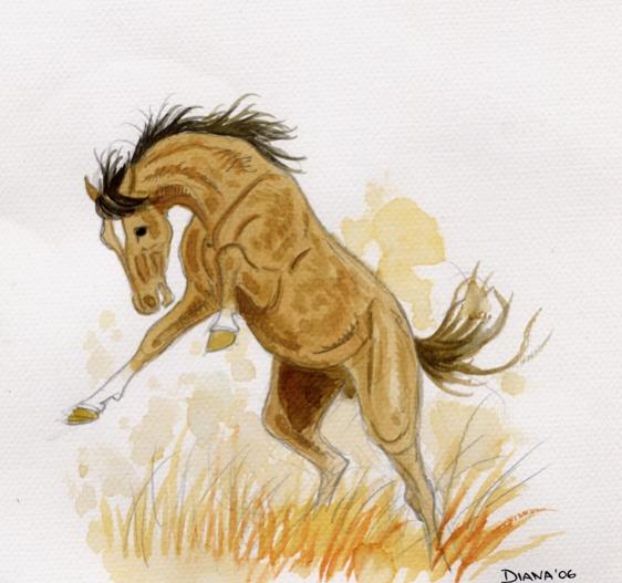Mustang - Diana Kennedy